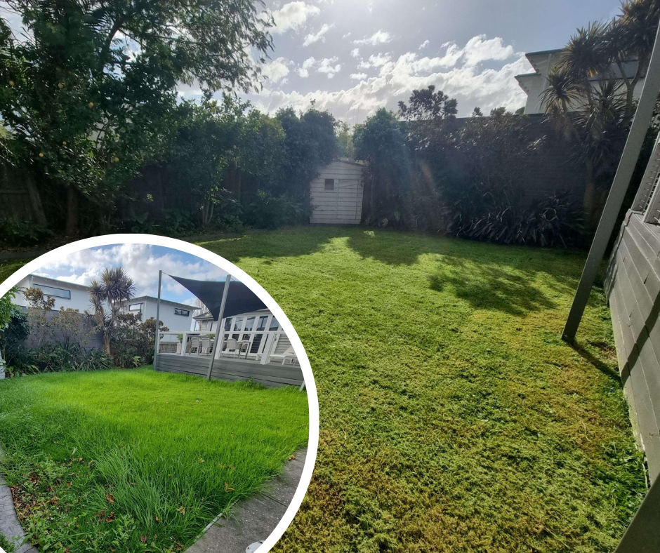 Handy Dandy Lawn Transformation Before and After