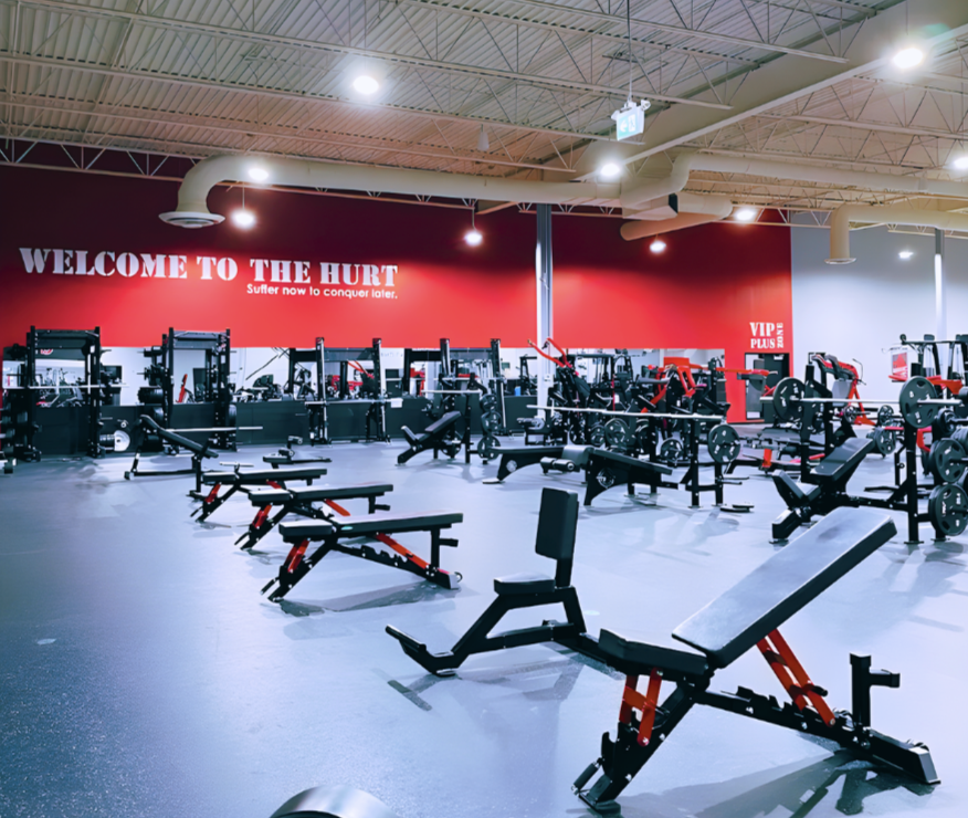 World Gym training floor