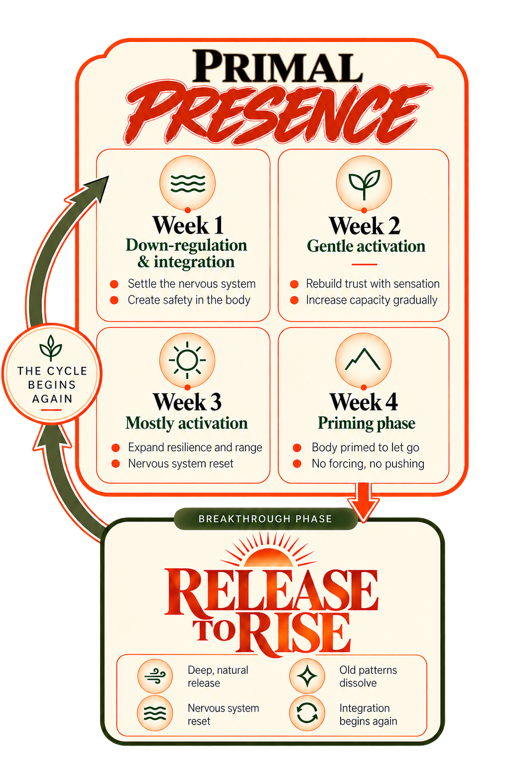 The Primal Cycle Flow: Primal Presence Weeks 1 through 4 leading into Release to Rise breakthrough phase