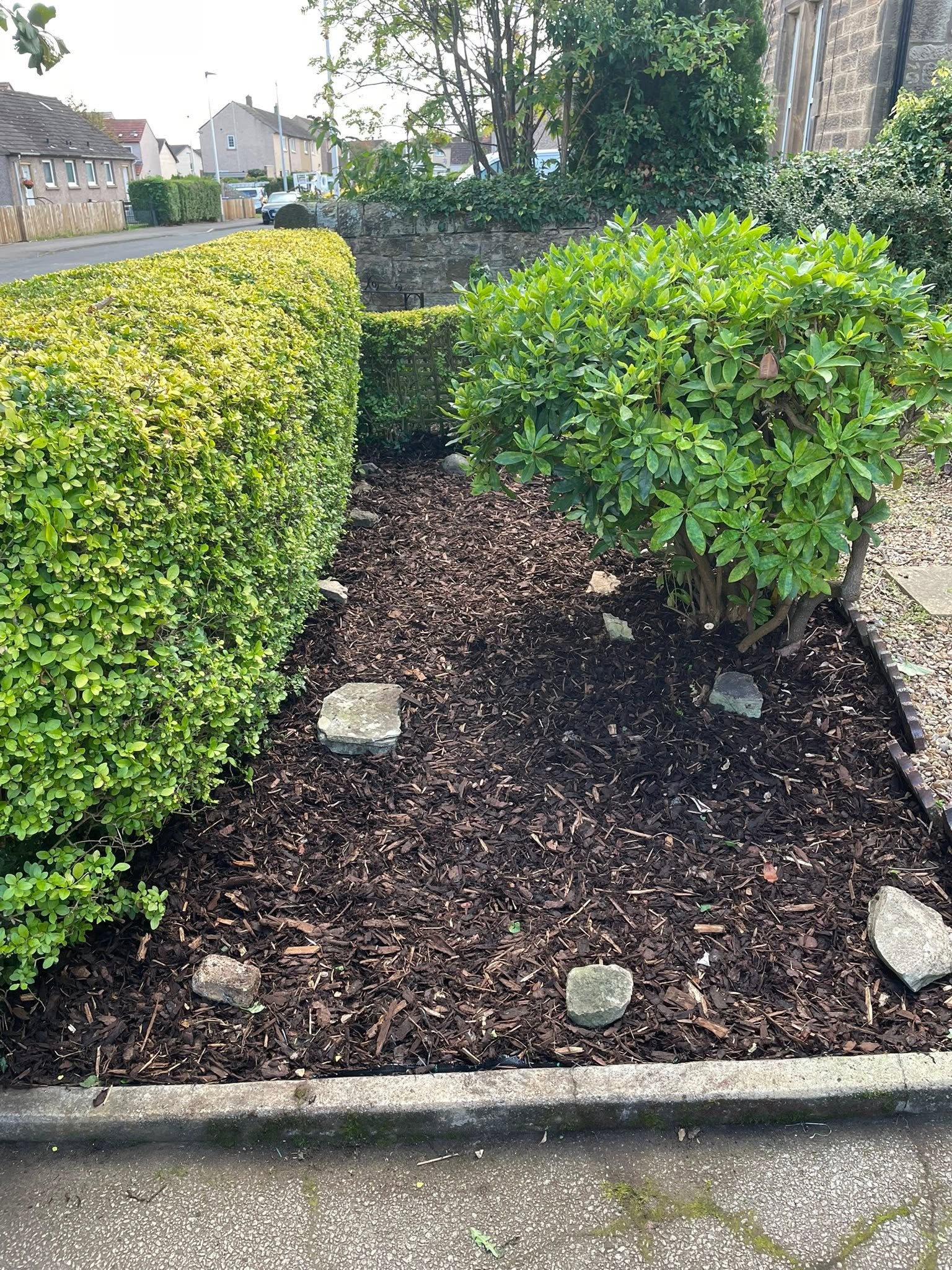 Freshly mulched decorative border with ornamental shrubs and stone accents