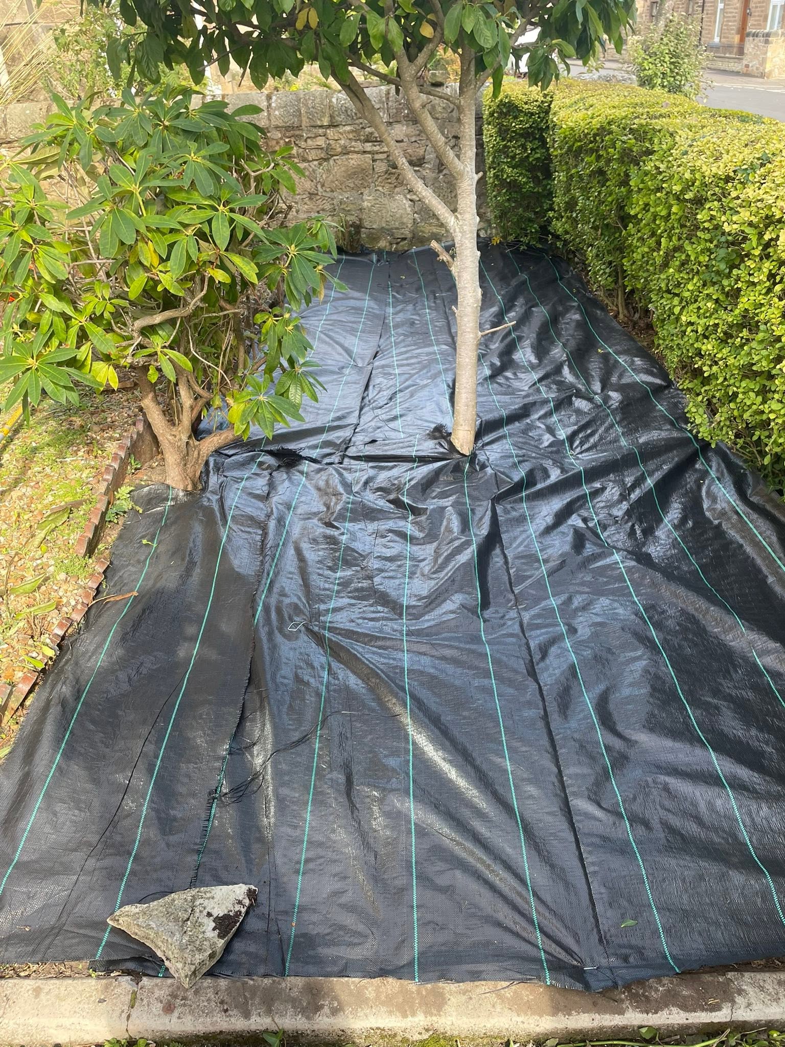 Heavy duty weed control membrane installation in garden bed around specimen trees