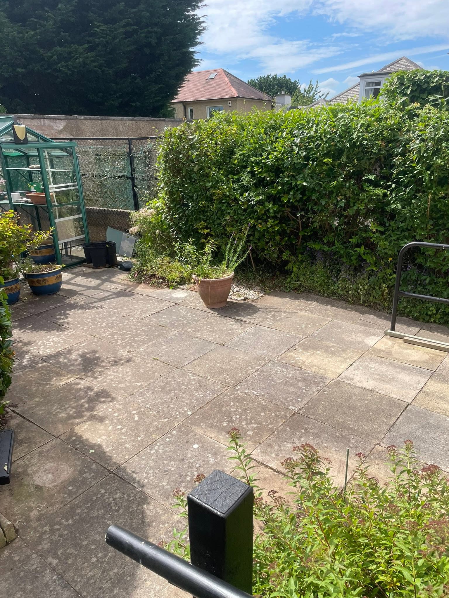 Paved garden patio slabs with lush perimeter shrub hedging, greenhouse, and potted planters in Dalkeith