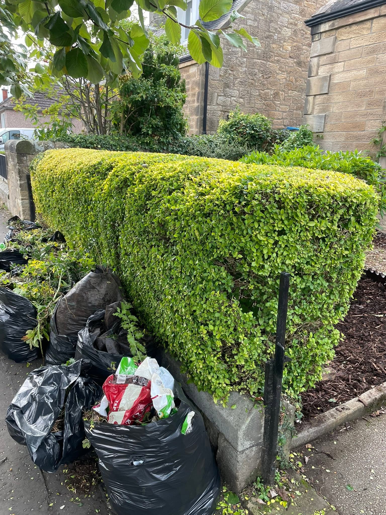 Finished hedge line with bagged garden cuttings and immaculate edging