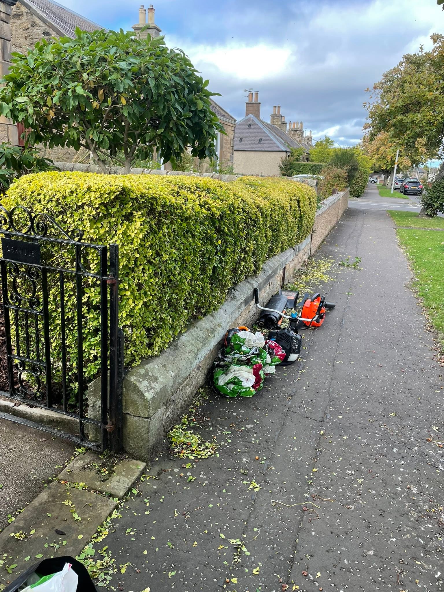 Perimeter hedge cutting along street boundary wall with tidy pavement clearance