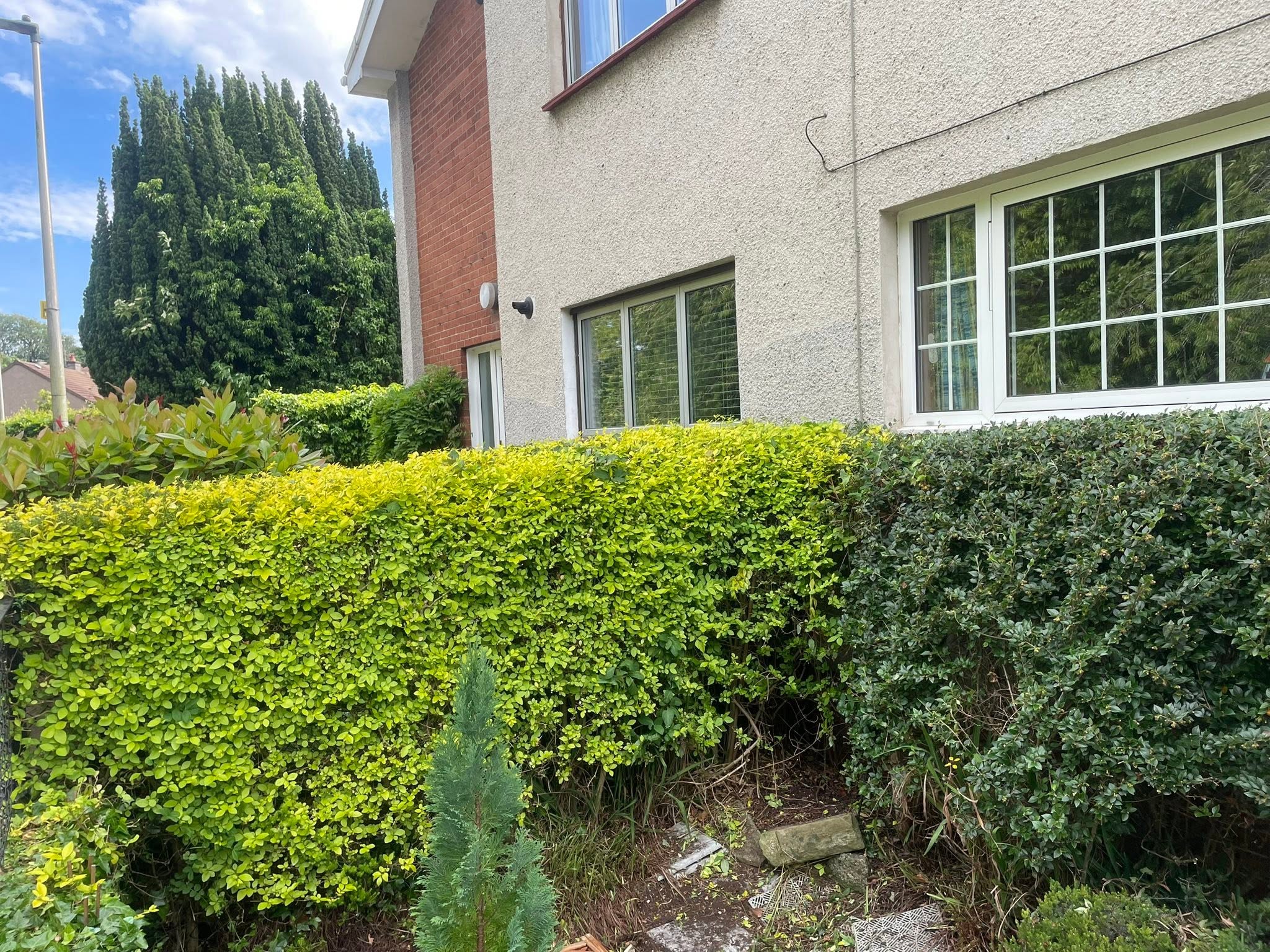 Precision hedge trimming and shrub shaping by Emerald Edge Landscaping Services