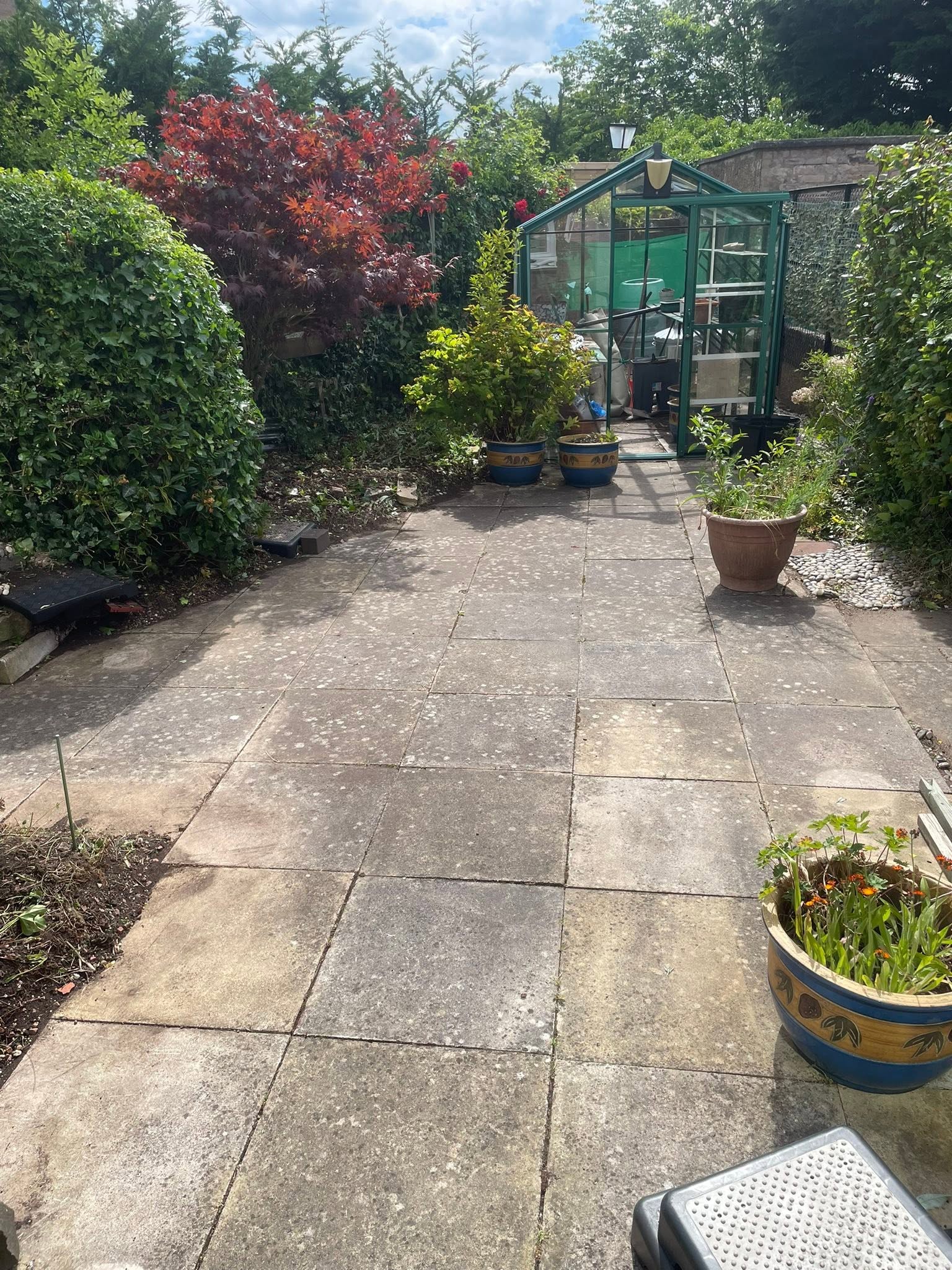 Paved garden pathway leading toward greenhouse, framed by Japanese maple, shaped shrubs, and planters