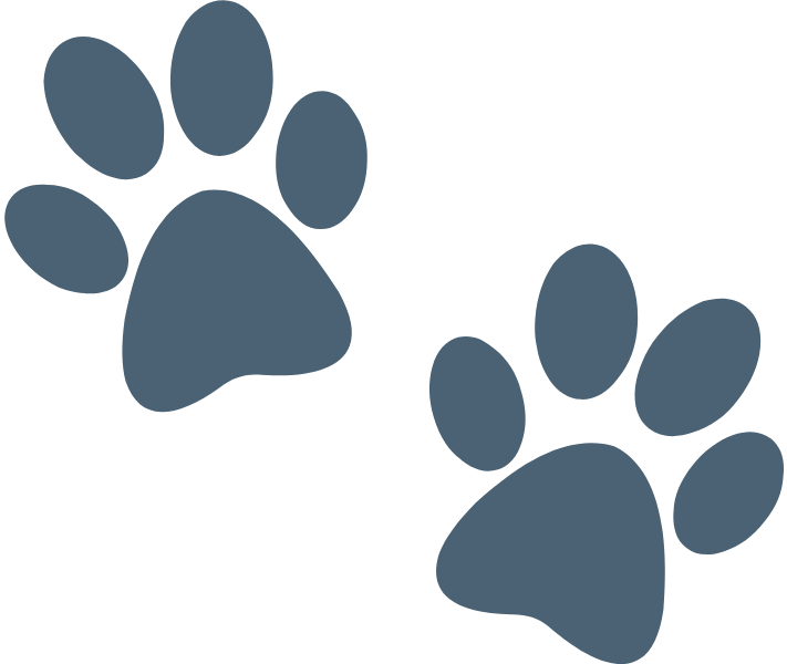 Paw prints