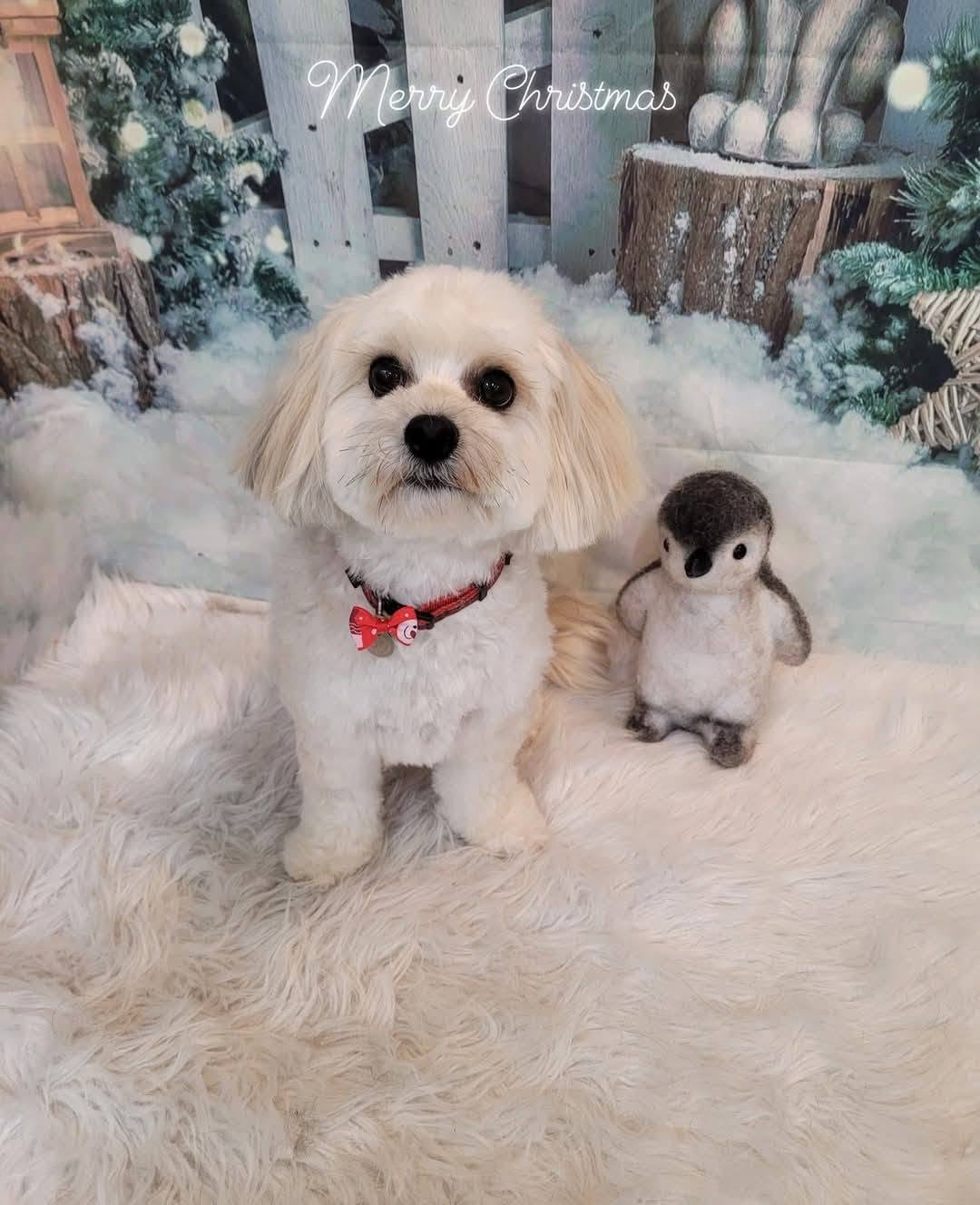 Winter Pamper & Styling
