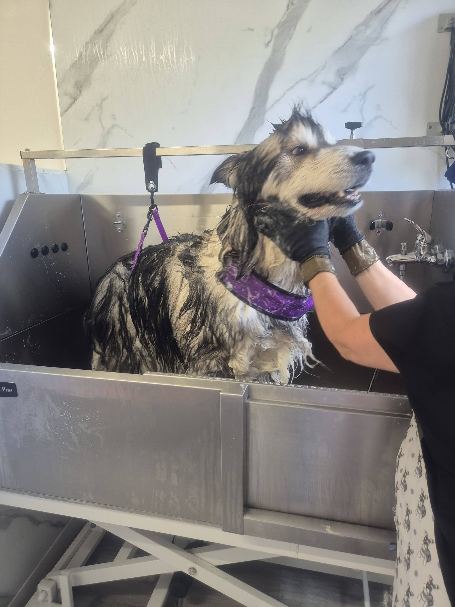 Hydrobath Cleanse