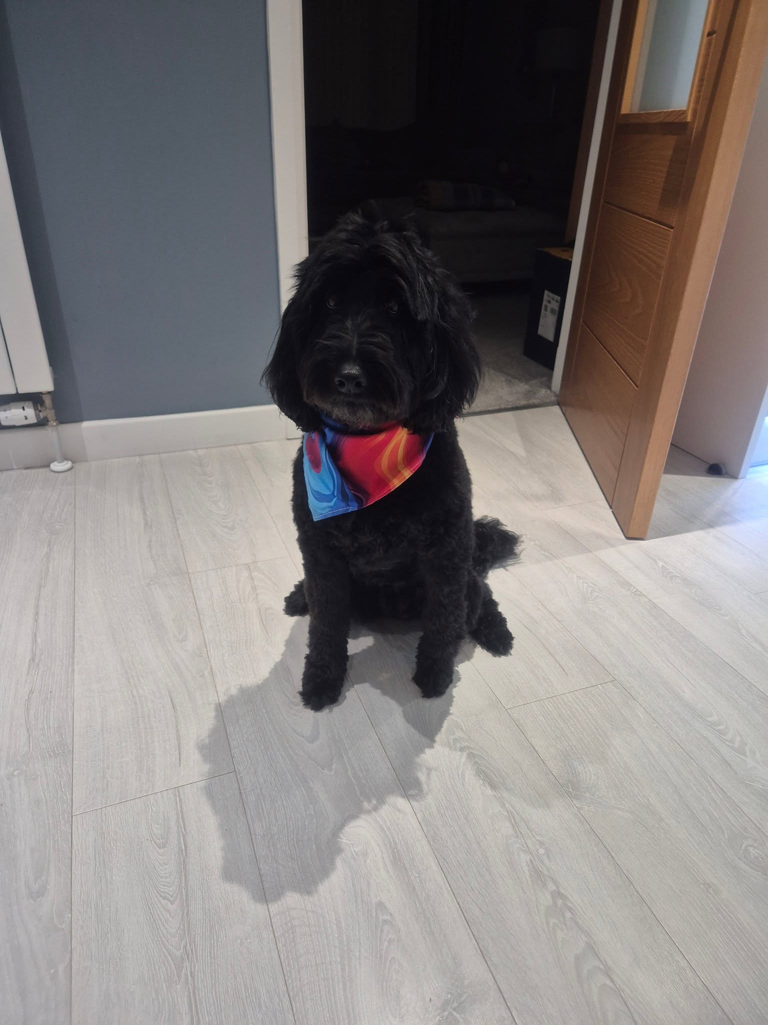 Full Groom & Vibrant Bandana