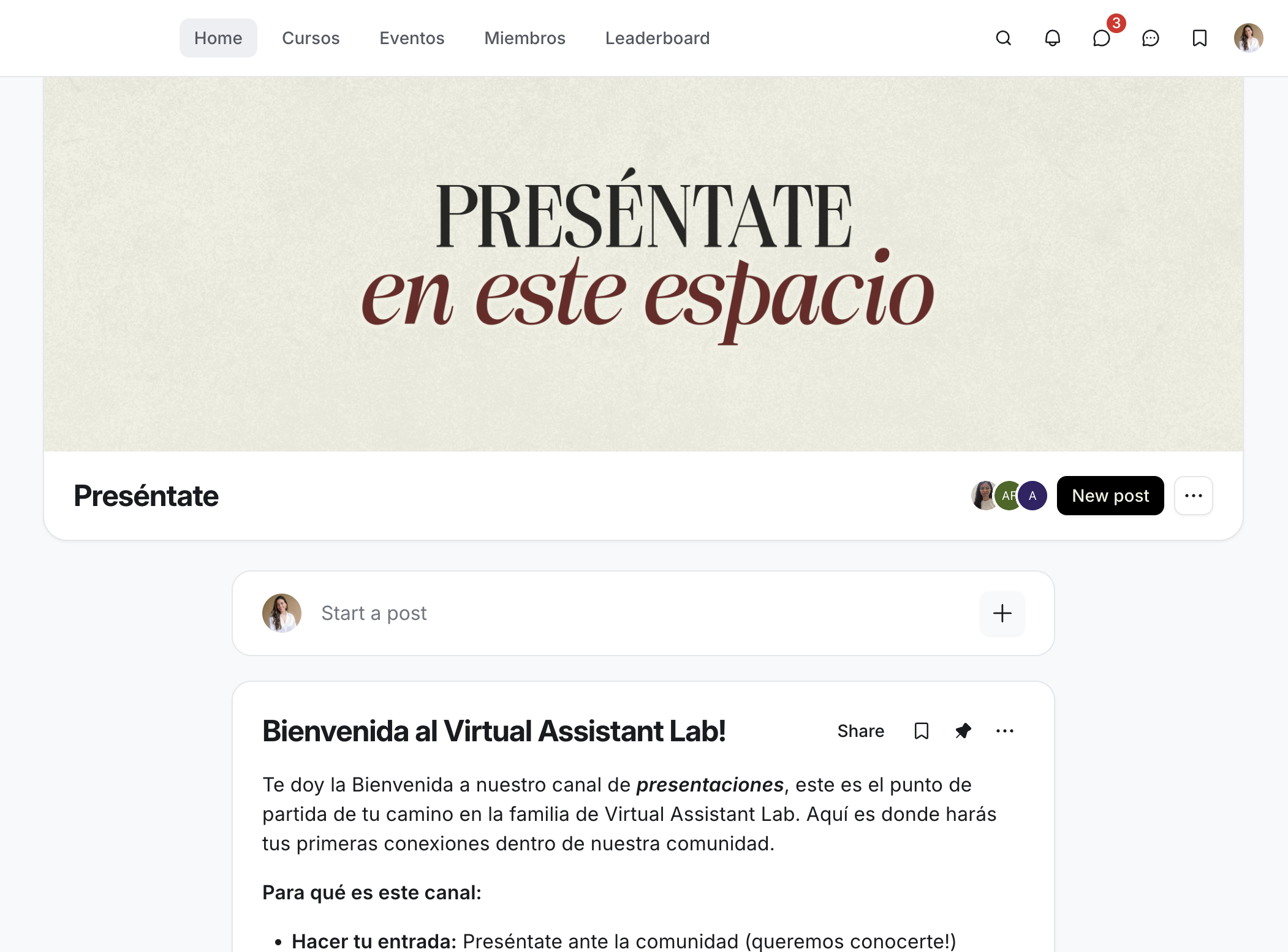 Comunidad privada de Virtual Assistant Lab