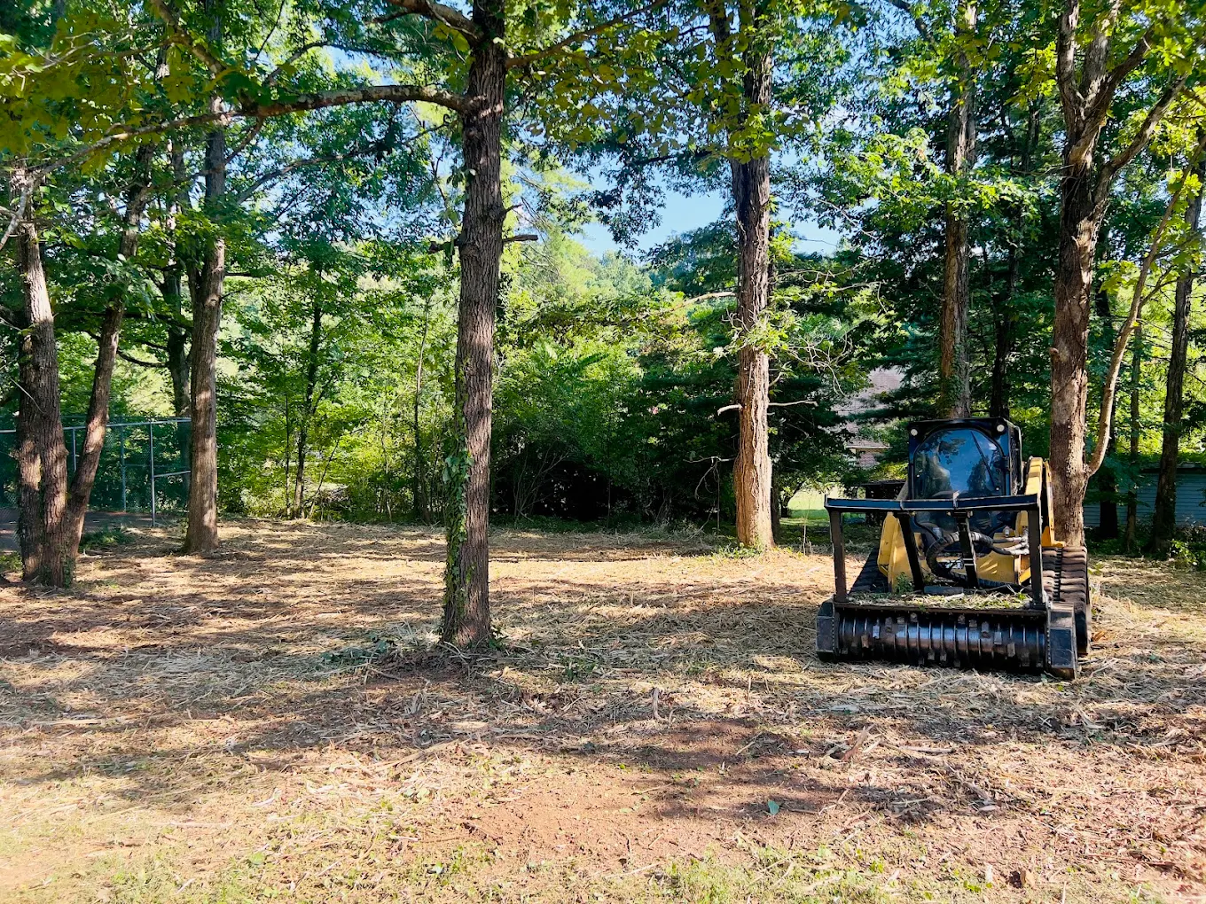 Forestry mulcher clearing brush and opening land.