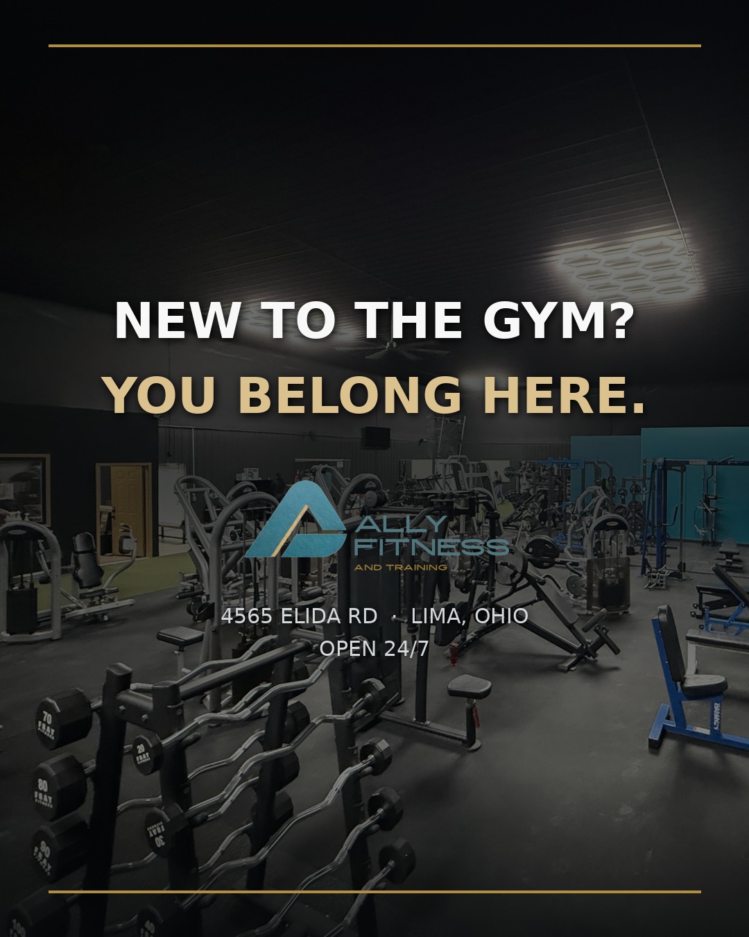 Inside the Ally Fitness & Training facility in Lima OH with training equipment