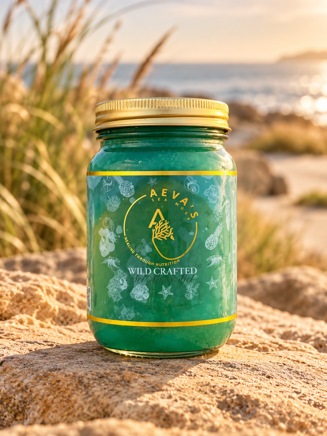 Caribbean Flex 24 oz sea moss gel jar with gold lid on coastal rock