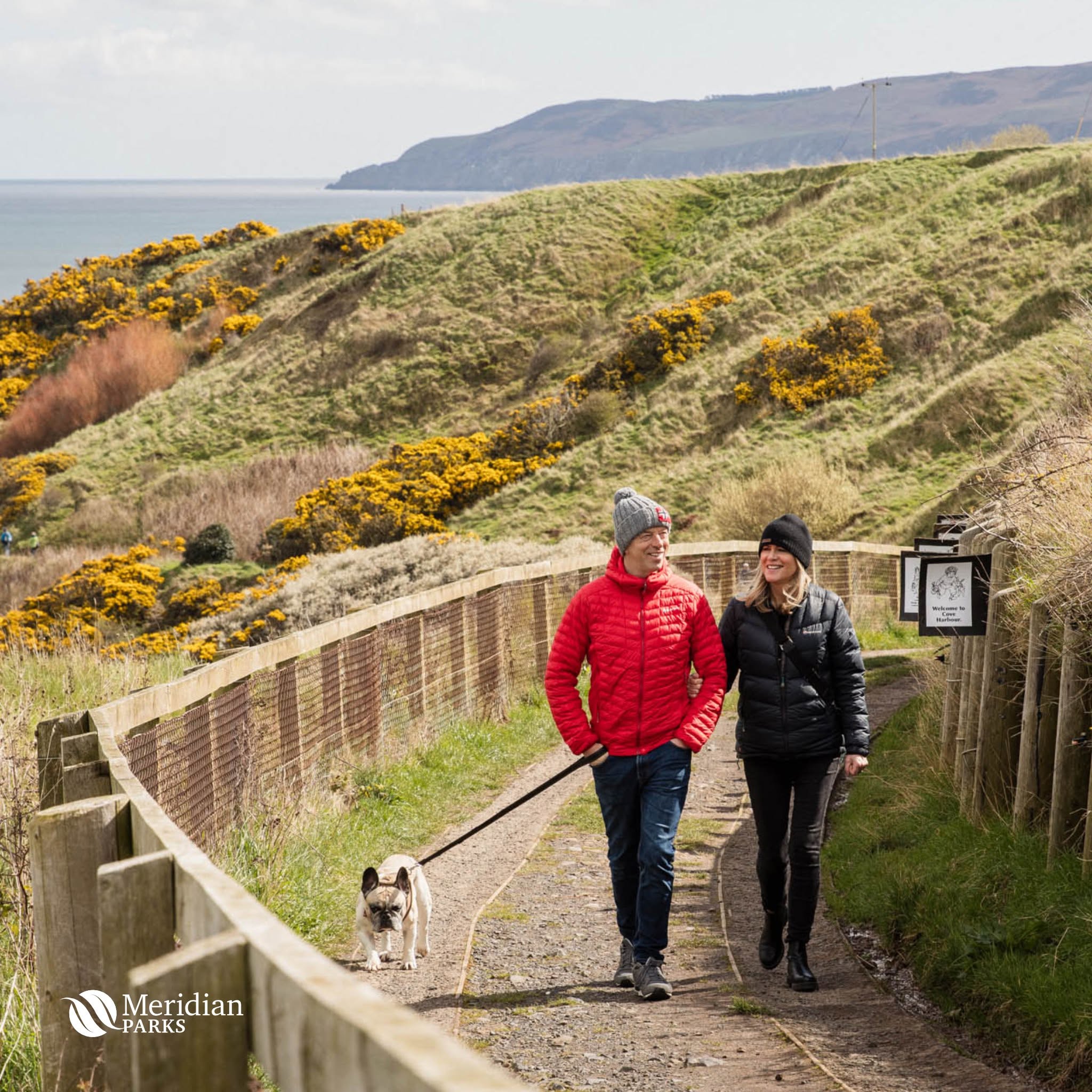 Walking the dog along the scenic coastal paths near Cockburnspath