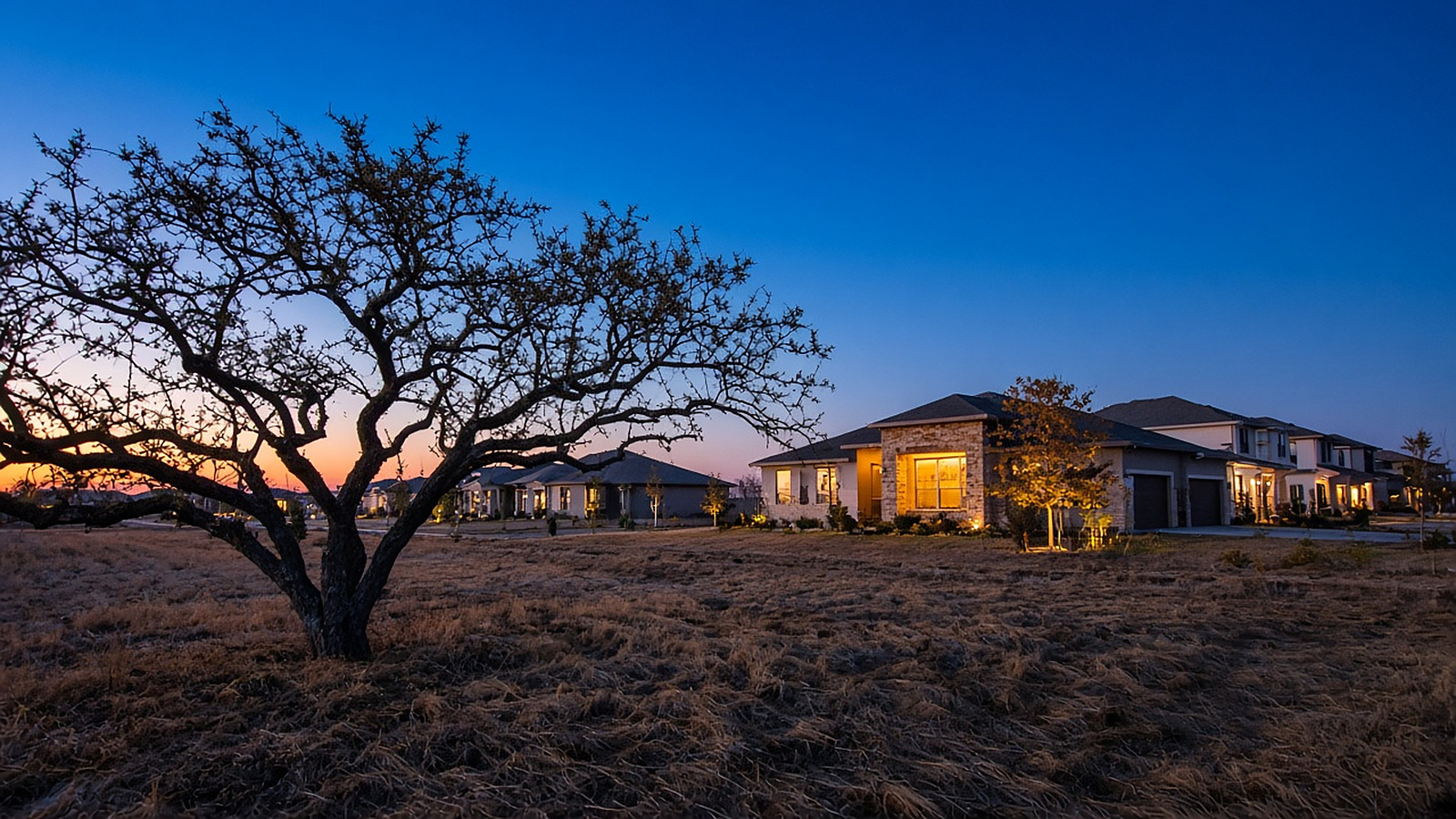 Stone-front homes with lit windows at dusk beyond a bare tree and dry grass, a neighborhood setting for Foundation Repair in Schertz, TX