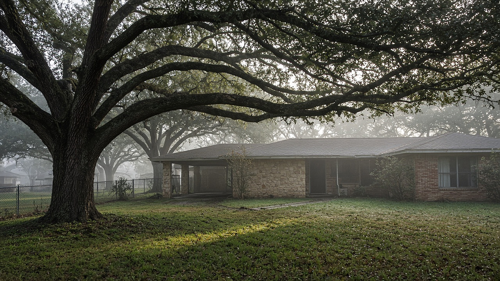 Wide live oak spreading over a one-story brick and stone ranch house on a misty morning, a home setting for Foundation Repair in Live Oak, TX