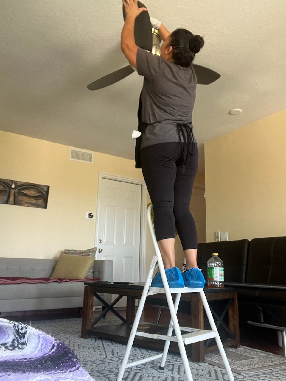 Ceiling Fan Blade Dusting & Sanitization
