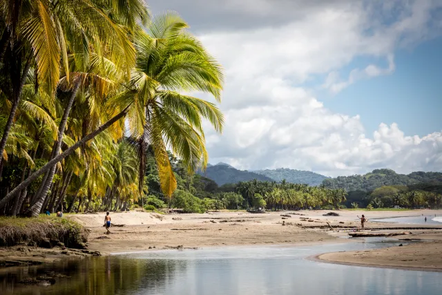 Tropical palm-lined beach and river estuary in Sámara, Guanacaste, Costa Rica