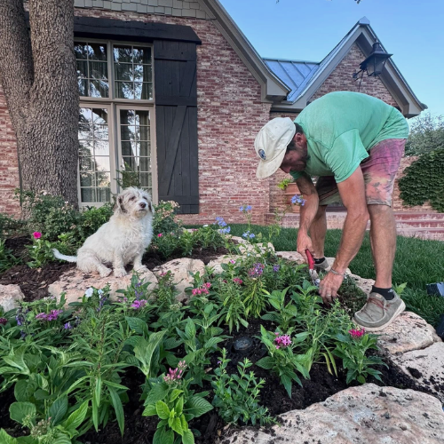 Xeriscaping & Drought-Smart Design