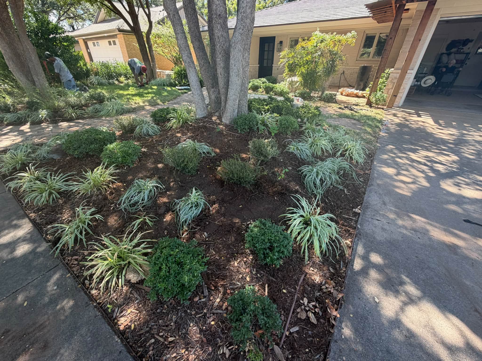 Landscape Design & Installation