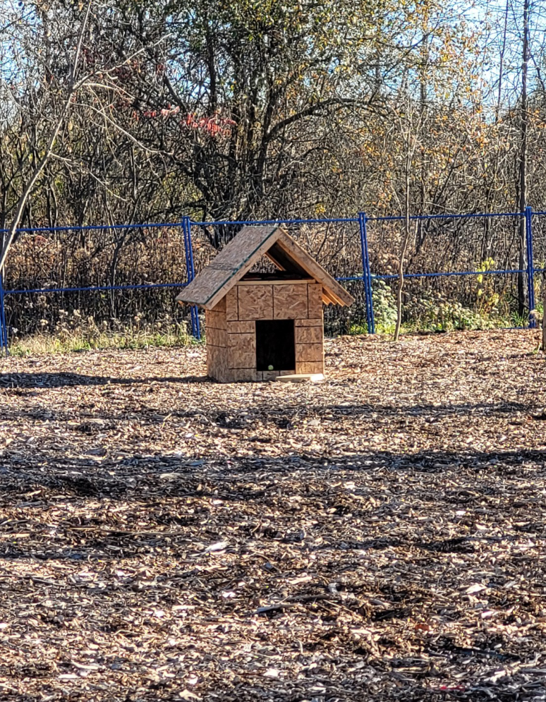 Abri en bois pour chien dans l'aire de parc pour chiens privé sans laisse