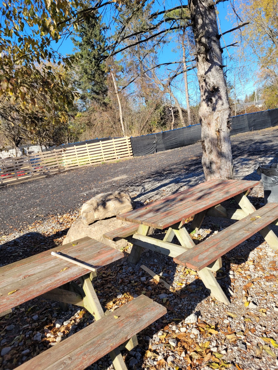 Red wooden picnic table by boundary fence under tall shade tree on the Farmstead grounds