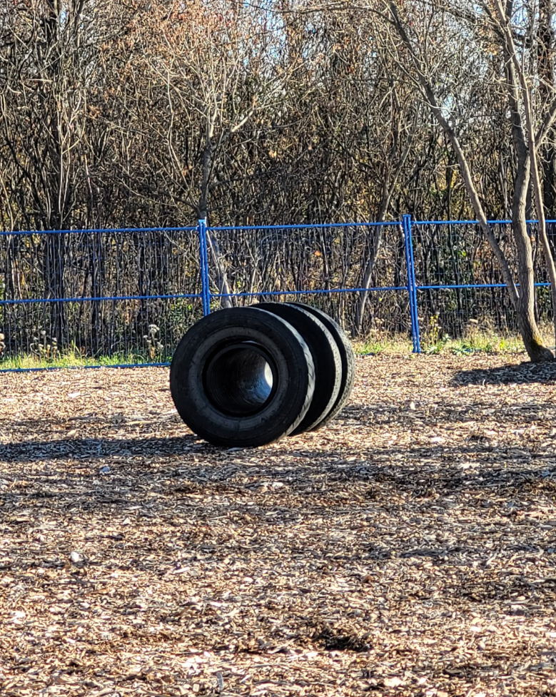 Pneus de jeu le long de la clôture périphérique bleue dans le parc pour chiens privé