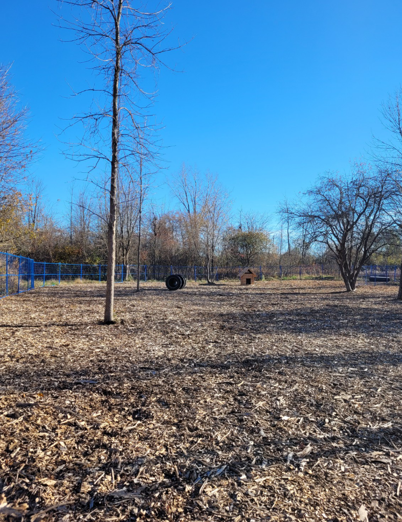 Private Dog Park