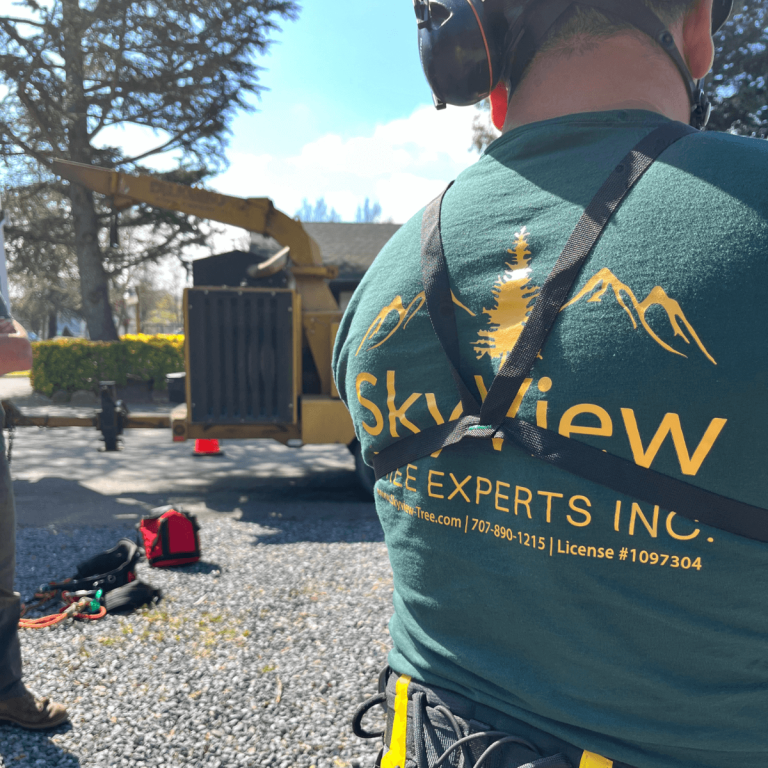 Tree Care — SkyView Tree Experts