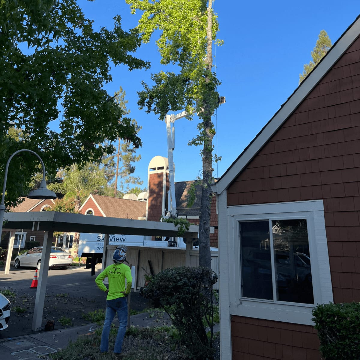 Fire Prevention & Restoration — SkyView Tree Experts