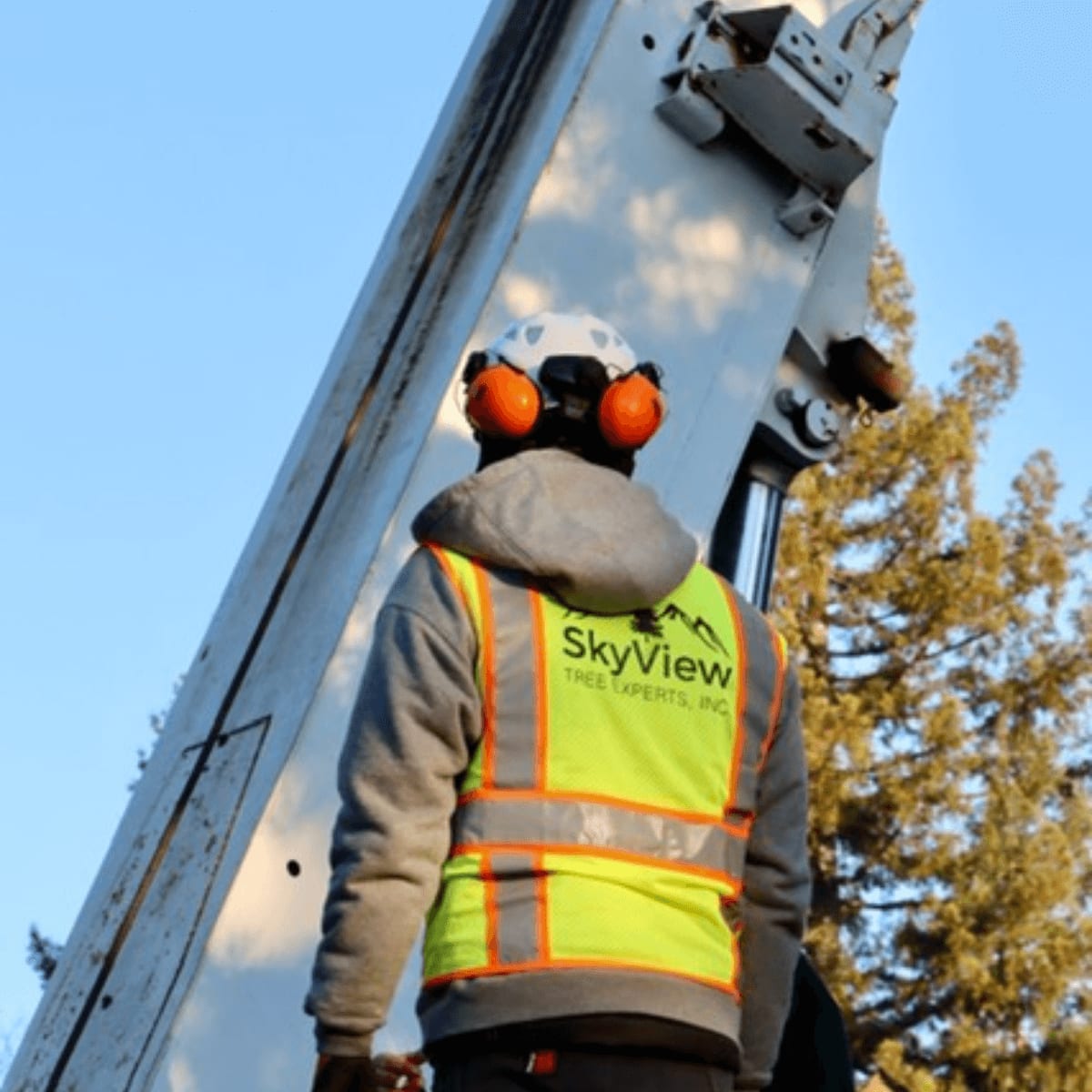 Tree Pruning — SkyView Tree Experts