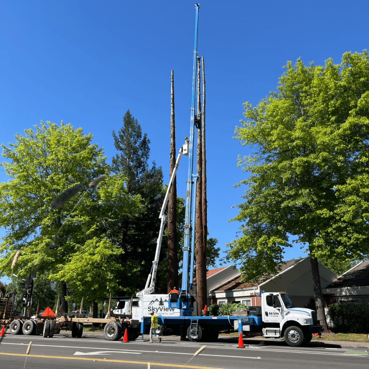 24/7 Emergency Service — SkyView Tree Experts