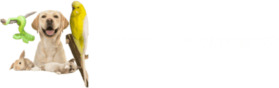 Aussie Pet Connections - Air & Road Transport