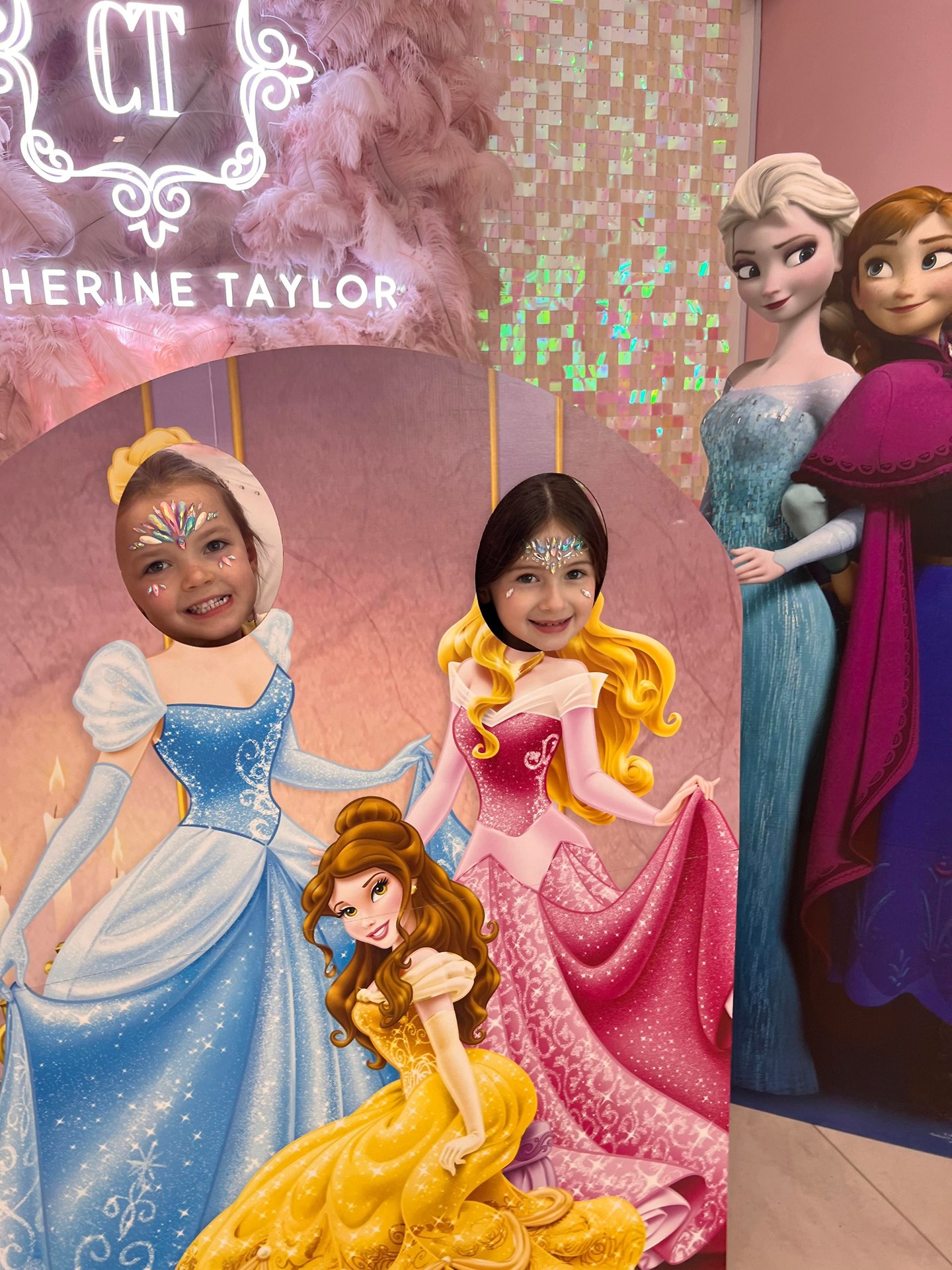 Frozen & Cinderella Cutouts