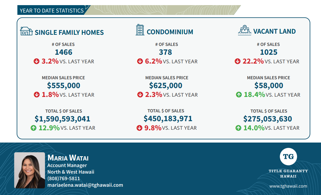 Year-To-Date Statistics Overview