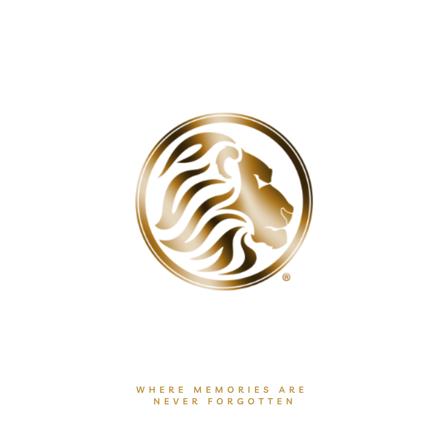 REVAIR Collective