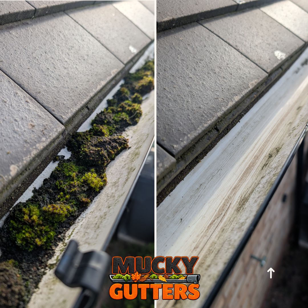 Gutter Cleaning in Chelmsford - MuckyGutters real job
