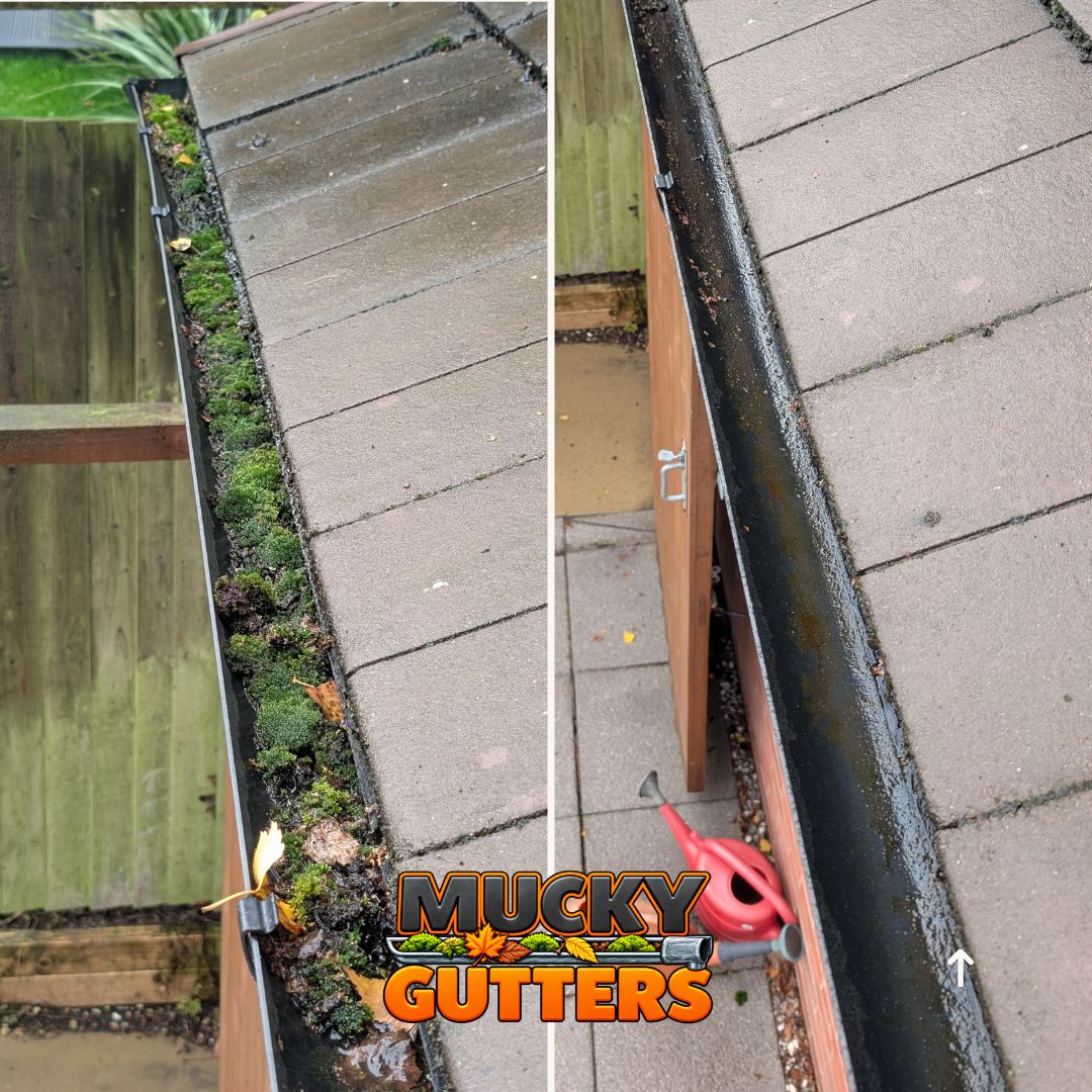 Gutter Cleaning in Brentwood - MuckyGutters real job