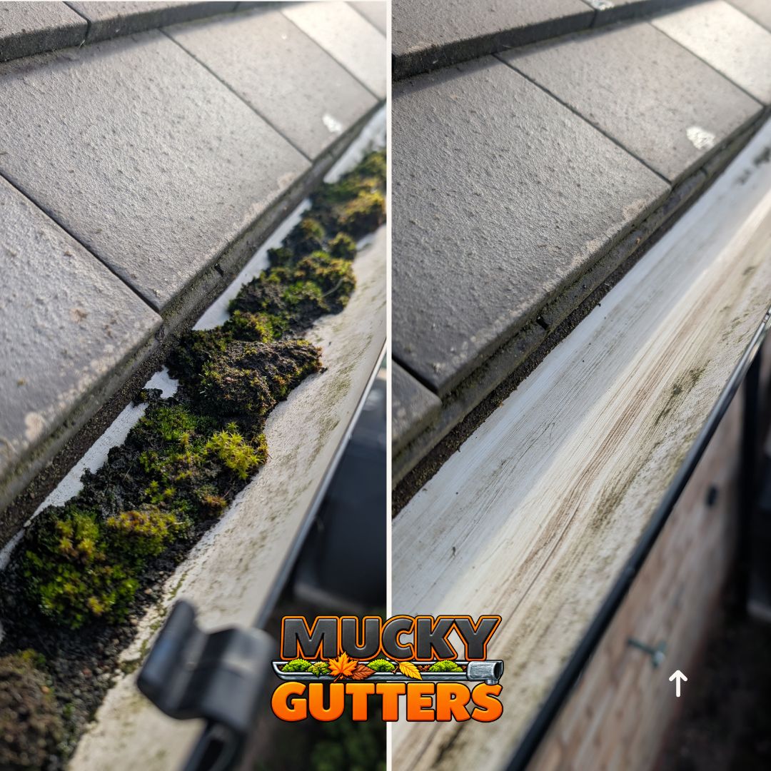 Gutter Cleaning in Chelmsford - MuckyGutters real job