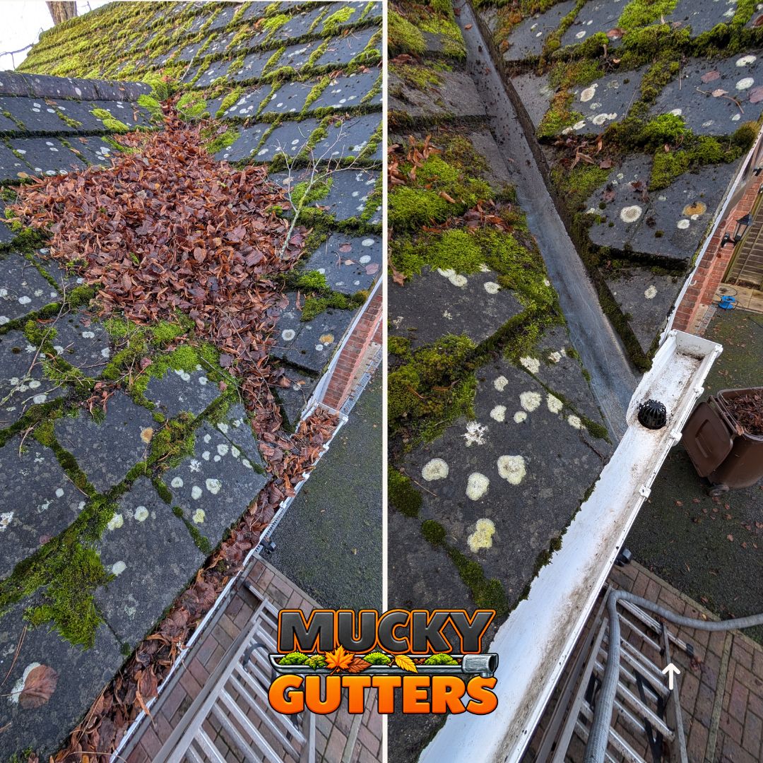 Gutter Cleaning in Basildon - MuckyGutters real job