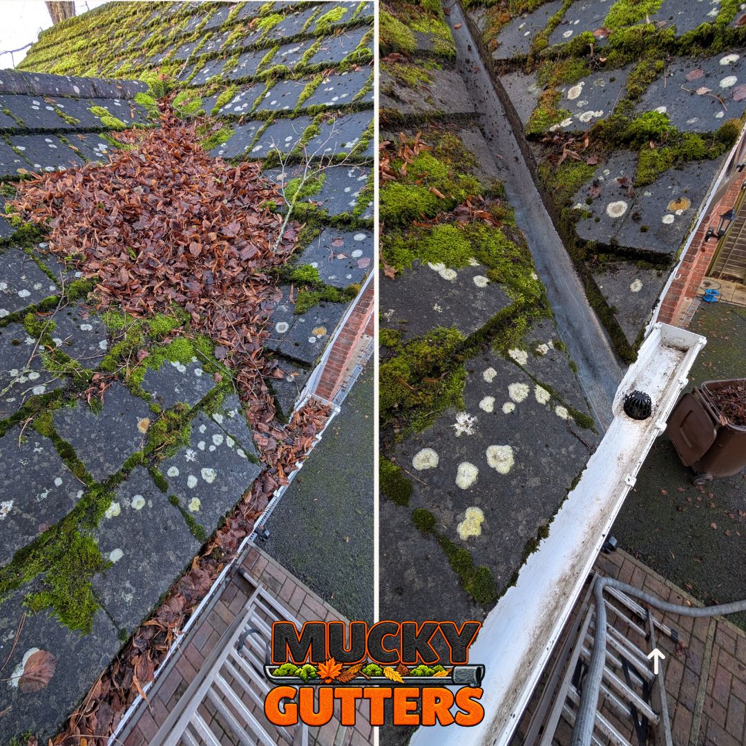 Gutter Cleaning in Basildon - MuckyGutters real job