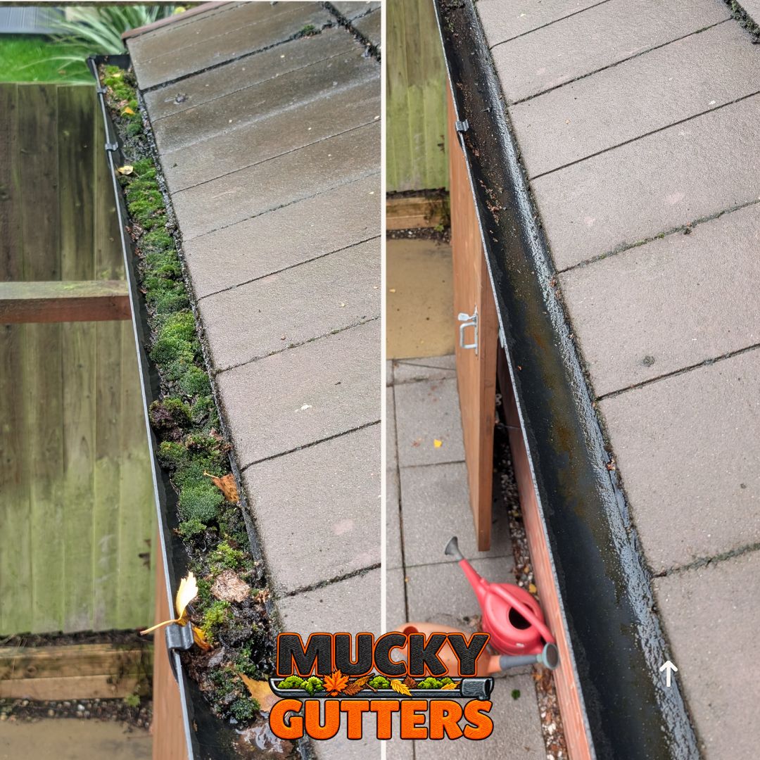 Gutter Cleaning in Brentwood - MuckyGutters real job