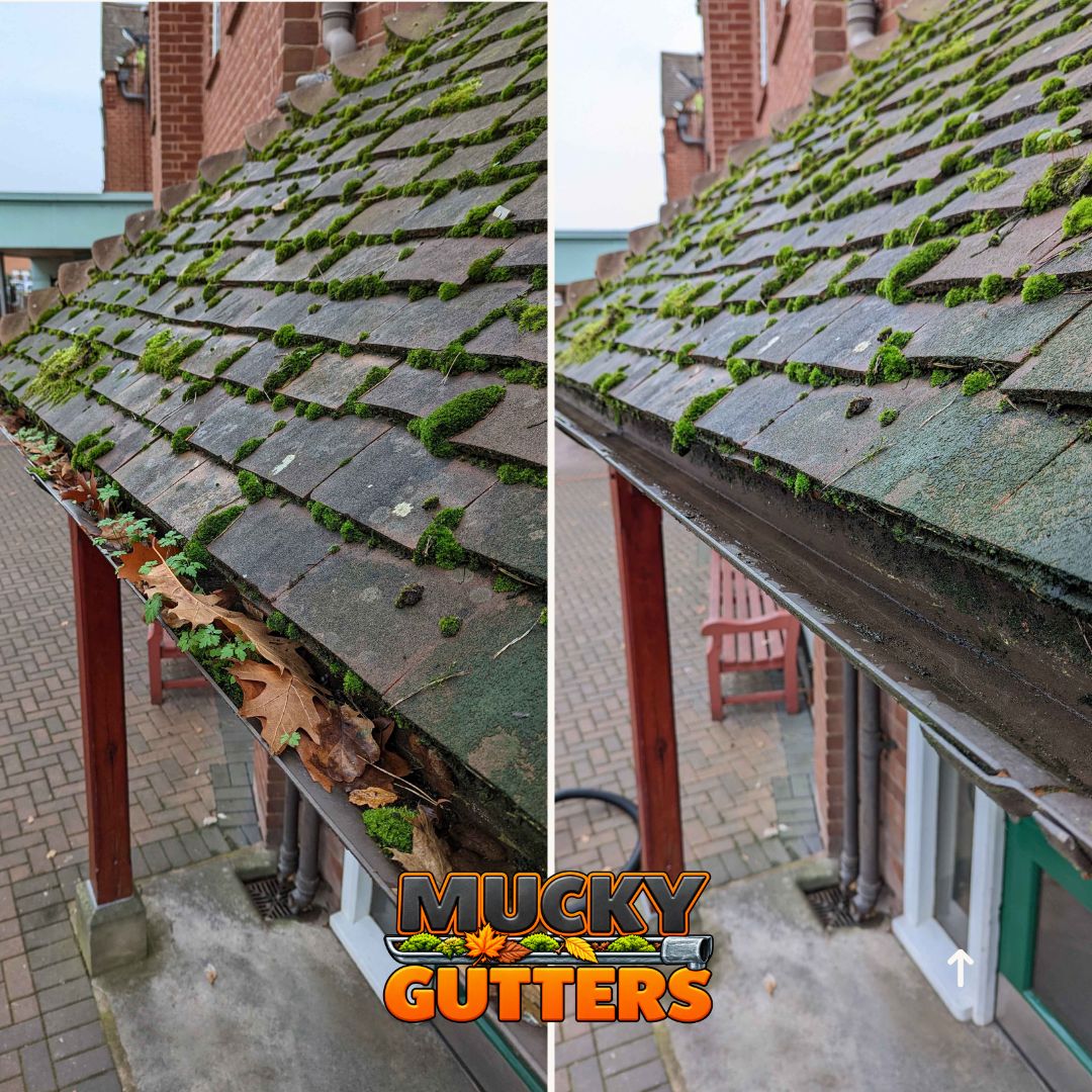Gutter Cleaning in Billericay - MuckyGutters real job