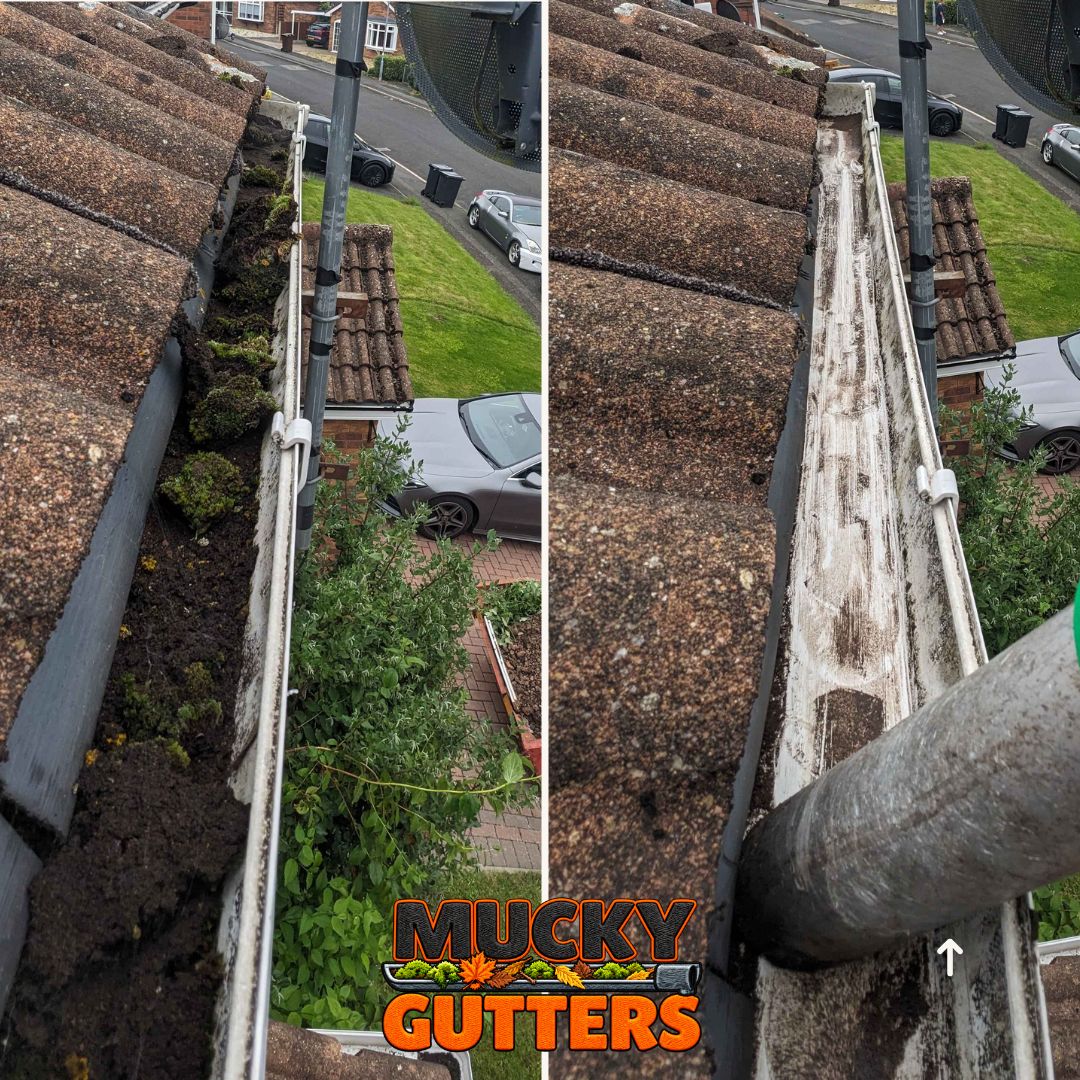 Gutter Cleaning in Shenfield - MuckyGutters real job