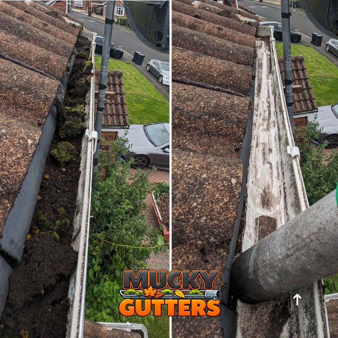 Gutter Cleaning in Shenfield - MuckyGutters real job