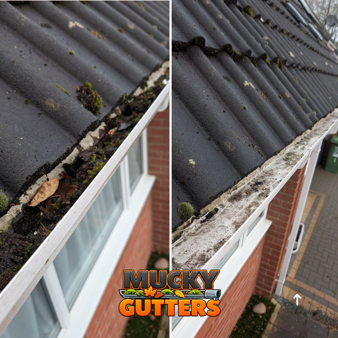 Gutter Cleaning In Wickford - MuckyGutters real job