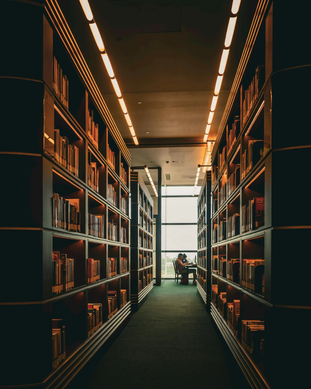 Biblioteca Generația Abundify — rafturi pline de cărți și cunoaștere
