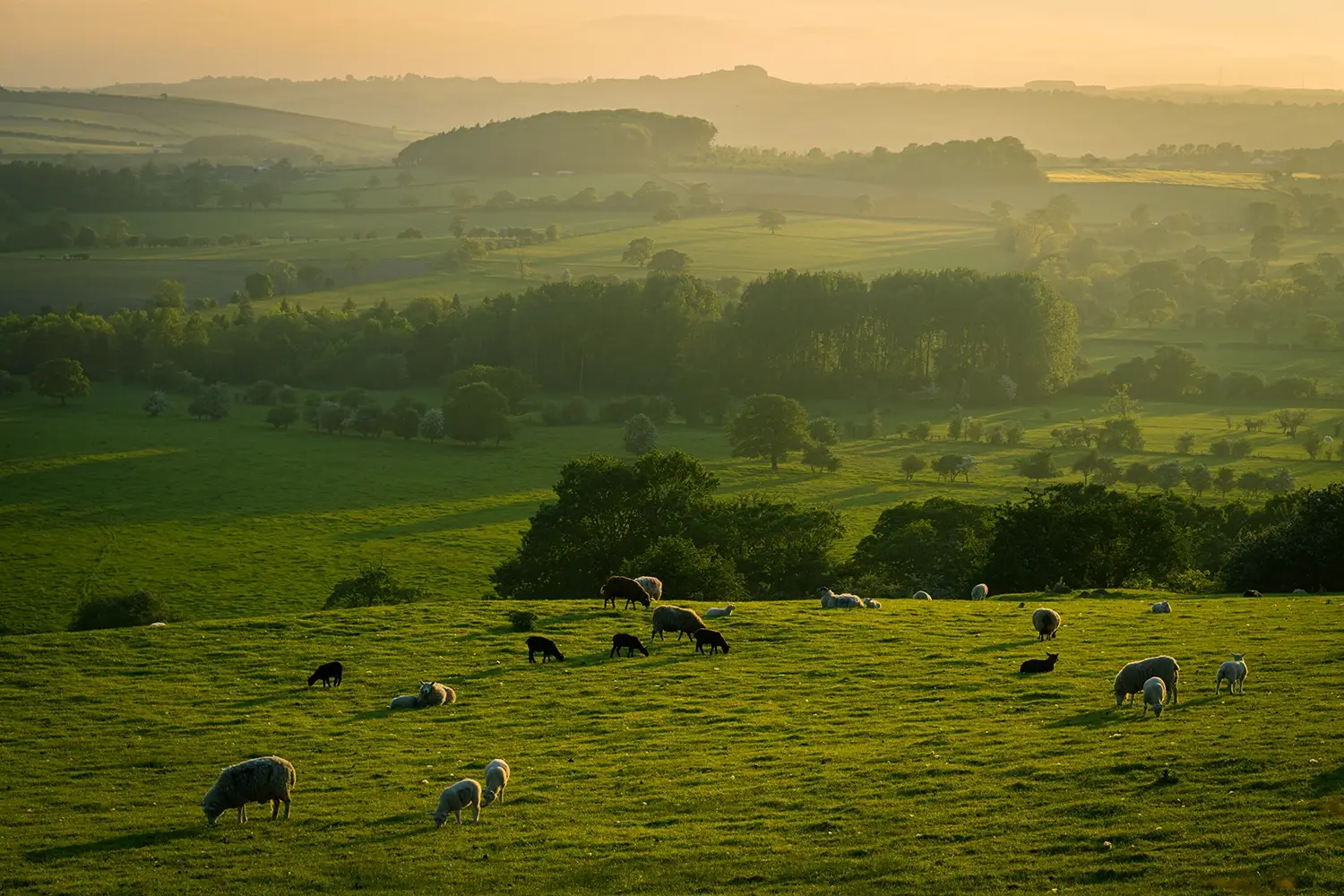 Picturesque rolling Yorkshire hills and countryside surrounding York
