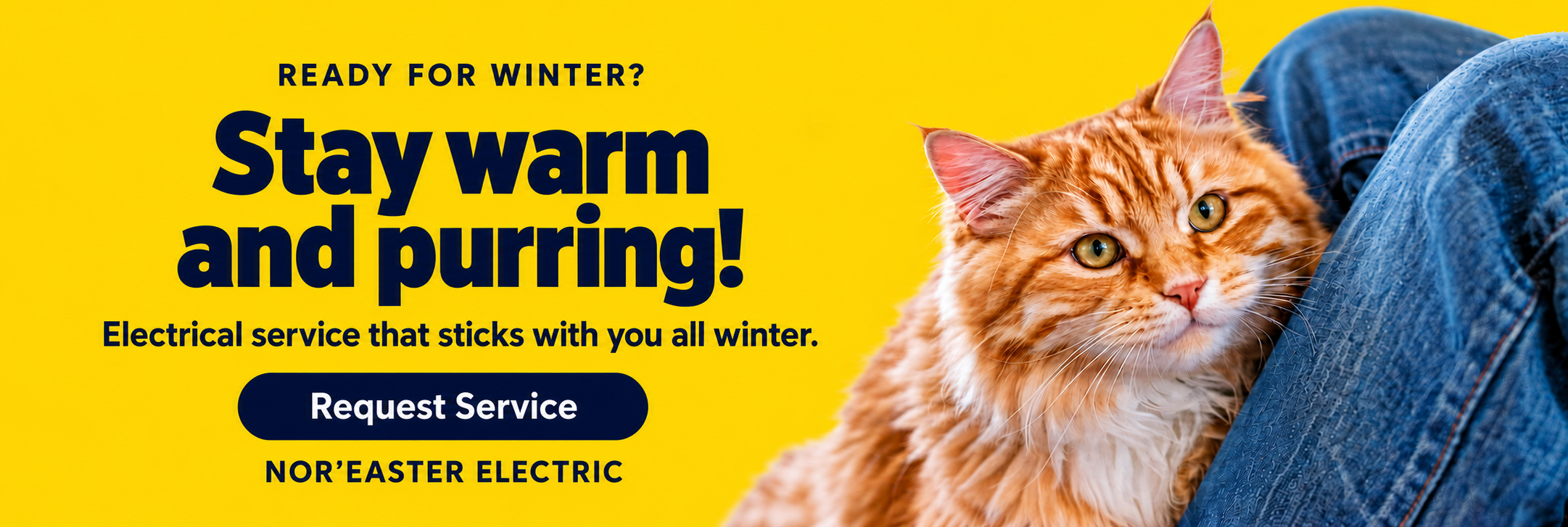 Ready for winter? Stay warm and purring! Electrical service that sticks with you all winter. - Nor'Easter Electric